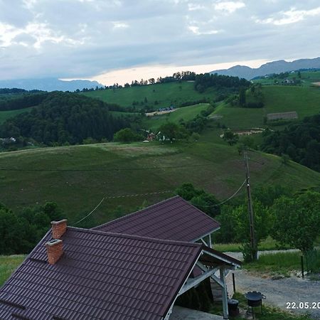 Casa Din Livada, Poiana Marului, Brasovヴィラ エクステリア 写真